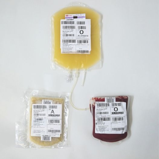 La donación de sangre 